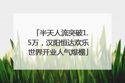 半天人流突破1.5万，汉阳恒达欢乐世界开业人气爆棚