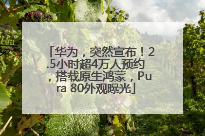 华为，突然宣布！2.5小时超4万人预约，搭载原生鸿蒙，Pura 80外观曝光