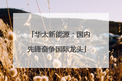 华太新能源：国内先锋奋争国际龙头