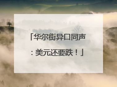 华尔街异口同声：美元还要跌！