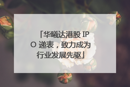 华曦达港股 IPO 递表，致力成为行业发展先驱