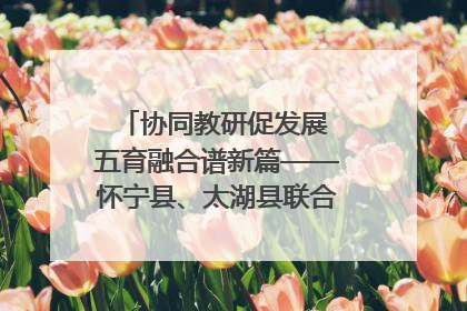 协同教研促发展 五育融合谱新篇——怀宁县、太湖县联合教研活动在月山镇中心学校成功举办