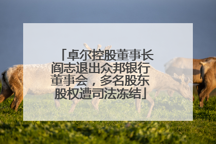 卓尔控股董事长阎志退出众邦银行董事会，多名股东股权遭司法冻结
