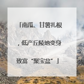 南瓜、甘薯扎根，低产丘陵地变身致富“聚宝盆”