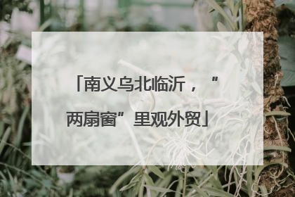 南义乌北临沂，“两扇窗”里观外贸