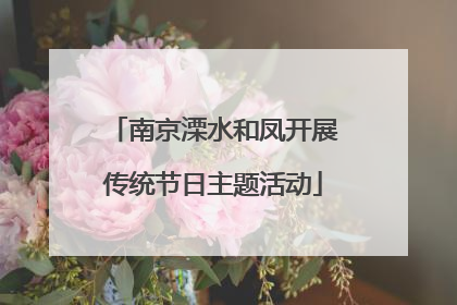 南京溧水和凤开展传统节日主题活动