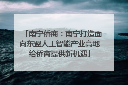 南宁侨商：南宁打造面向东盟人工智能产业高地给侨商提供新机遇