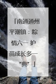 南通通州平潮镇：粽情六一 护苗成长多一“典”