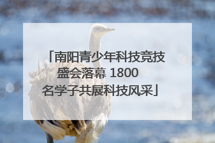 南阳青少年科技竞技盛会落幕 1800 名学子共展科技风采