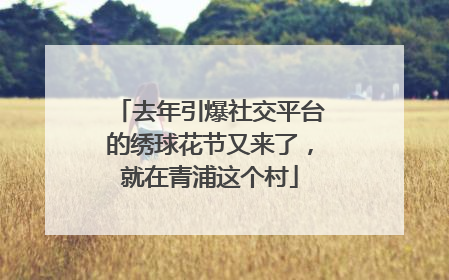去年引爆社交平台的绣球花节又来了，就在青浦这个村