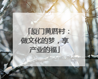 厦门黄厝村：做文化的梦，享产业的福