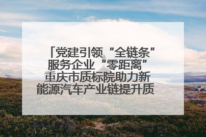 党建引领“全链条” 服务企业“零距离” 重庆市质标院助力新能源汽车产业链提升质量管理水平