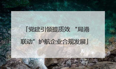 党建引领提质效 “局港联动”护航企业合规发展