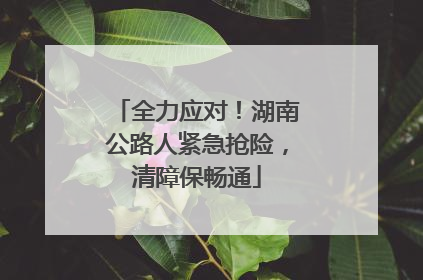 全力应对！湖南公路人紧急抢险，清障保畅通