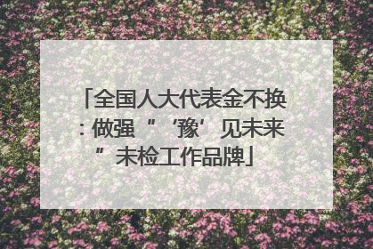 全国人大代表金不换：做强“‘豫’见未来”未检工作品牌