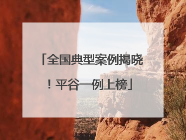 全国典型案例揭晓！平谷一例上榜