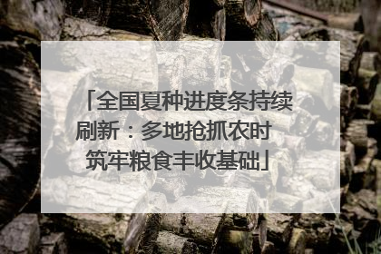 全国夏种进度条持续刷新：多地抢抓农时 筑牢粮食丰收基础