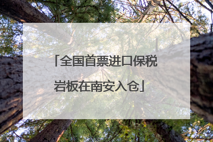 全国首票进口保税岩板在南安入仓