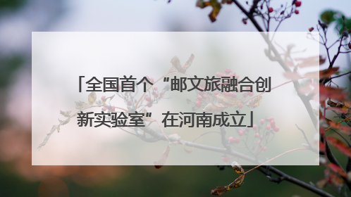 全国首个“邮文旅融合创新实验室”在河南成立