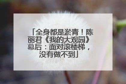 全身都是淤青！陈丽君《我的大观园》幕后：面对滚楼梯，没有做不到