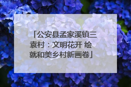 公安县孟家溪镇三袁村：文明花开 绘就和美乡村新画卷