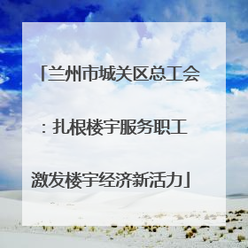 兰州市城关区总工会：扎根楼宇服务职工 激发楼宇经济新活力