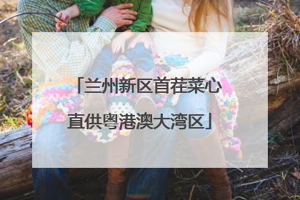 兰州新区首茬菜心直供粤港澳大湾区
