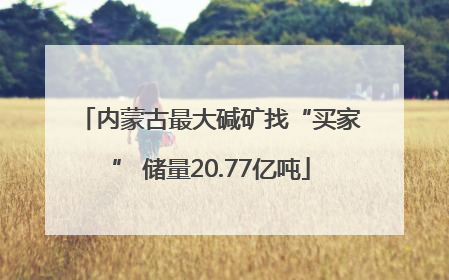 内蒙古最大碱矿找“买家” 储量20.77亿吨