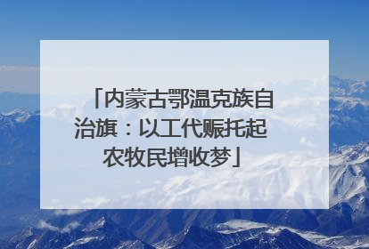 内蒙古鄂温克族自治旗：以工代赈托起农牧民增收梦