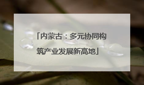 内蒙古：多元协同构筑产业发展新高地