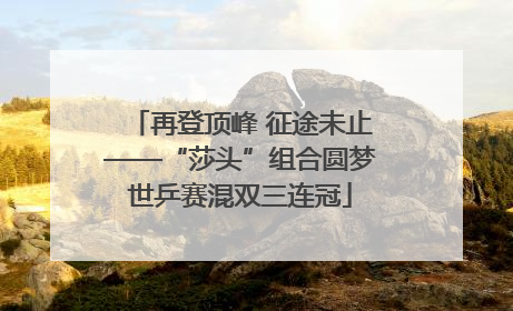 再登顶峰 征途未止——“莎头”组合圆梦世乒赛混双三连冠