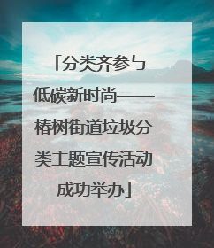 分类齐参与 低碳新时尚——椿树街道垃圾分类主题宣传活动成功举办