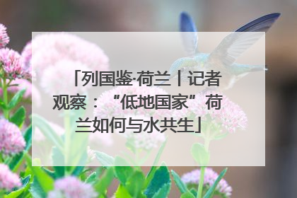 列国鉴·荷兰丨记者观察：“低地国家”荷兰如何与水共生