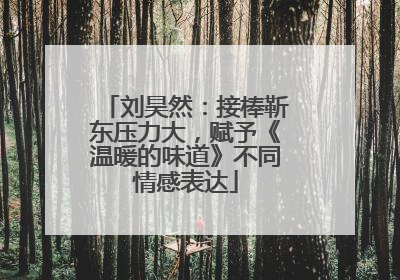 刘昊然：接棒靳东压力大，赋予《温暖的味道》不同情感表达