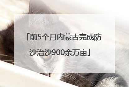 前5个月内蒙古完成防沙治沙900余万亩