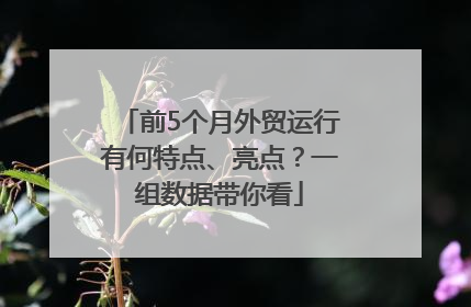 前5个月外贸运行有何特点、亮点？一组数据带你看