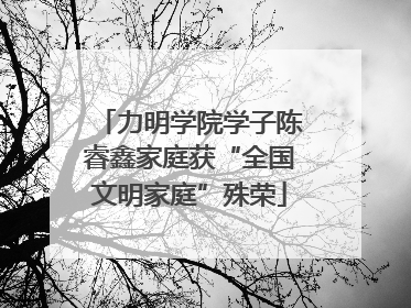 力明学院学子陈睿鑫家庭获“全国文明家庭”殊荣