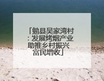 勉县吴家湾村：发展烤烟产业 助推乡村振兴富民增收