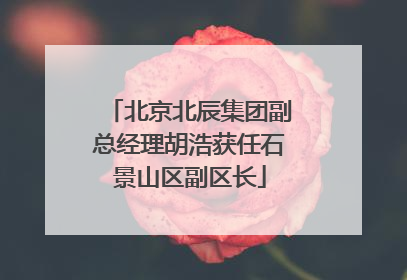 北京北辰集团副总经理胡浩获任石景山区副区长