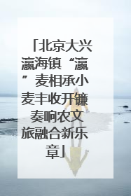 北京大兴瀛海镇“瀛”麦相承小麦丰收开镰 奏响农文旅融合新乐章