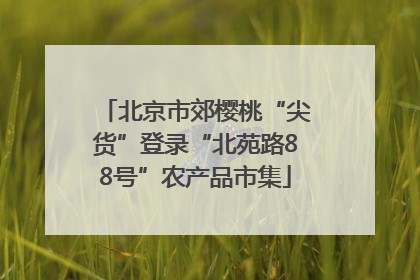 北京市郊樱桃“尖货”登录“北苑路88号”农产品市集
