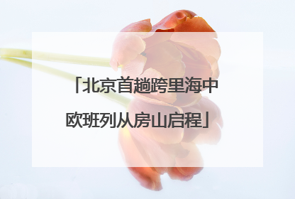 北京首趟跨里海中欧班列从房山启程