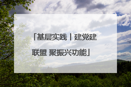 基层实践丨建党建联盟 聚振兴功能