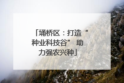 埇桥区：打造“种业科技谷” 助力强农兴种