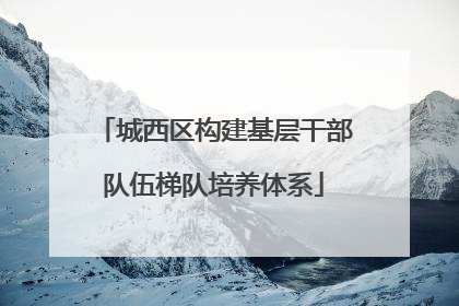 城西区构建基层干部队伍梯队培养体系