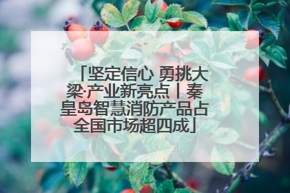 坚定信心 勇挑大梁·产业新亮点丨秦皇岛智慧消防产品占全国市场超四成