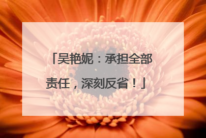 吴艳妮：承担全部责任，深刻反省！