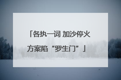 各执一词 加沙停火方案陷“罗生门”
