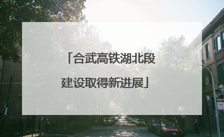 合武高铁湖北段建设取得新进展