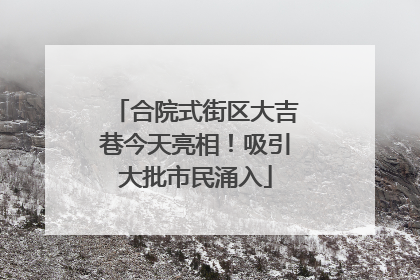 合院式街区大吉巷今天亮相！吸引大批市民涌入
